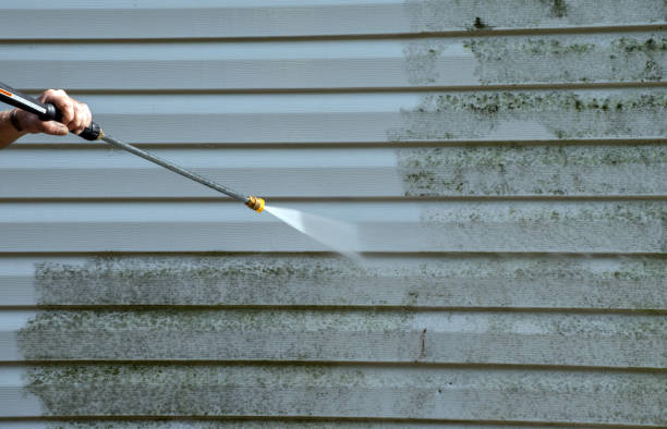 Best Driveway Pressure Washing  in Manning, IA